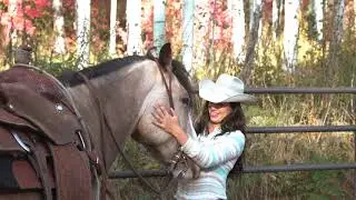 CLYDE - 15'1  Hand 2015 Draft Cross Gelding by RMO Horses