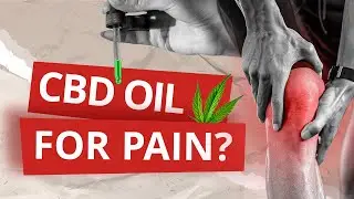 This is How CBD Oil Can Help to RELIEVE PAIN