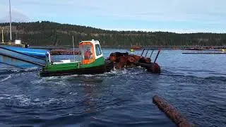 Boom boat near Harmac Pacific Pulp mill December 16 2018