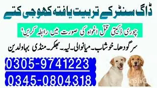 Army Dog Center Mianwali 