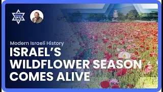 Israel&rsquo;s Wildflower Season Comes Alive