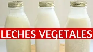 &iexcl;TIPS LECHES VEGETALES NO VISCOSAS, AVENA, QUINOA, ARROZ INTEGRAL! - Transici&oacute;n vegana