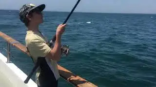 Deep Sea Fishing Newport Beach, CA 2019