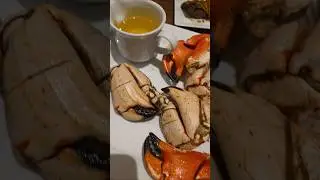 All you can eat seafod boil @ fresh harvest #casino #buffet #seafood #seafoodboil #eating #crabclaws