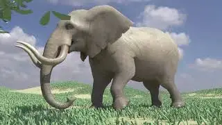 Elephant walk cycle animation