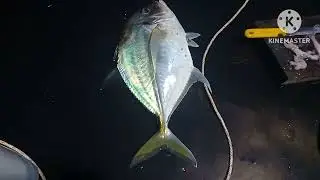 Trip Memancing laut tajau Kudat. Part 1 2026