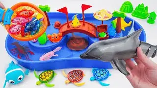 [🦈Toy ASMR🦈] RC Dolphin & Baby Shark Pinkfong Fishing Water Playset | Satisfying Unboxing