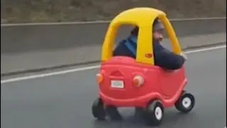 Highway WTF Compilation 🚗💥🦌