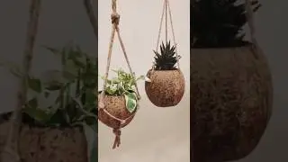 Coconut Shells Craft Idea | Best out of waste #shorts #youtubeshorts #viralvideo #viral
