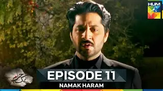 Namak Haram Episode 11