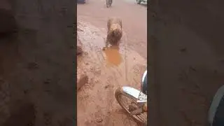 life is not easy guys but if you have God 🙏 everything is easy