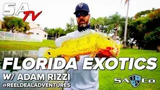 SA TV | FRESHWATER EXOTICS w/ ADAM RIZZI @REELDEALADVENTURES