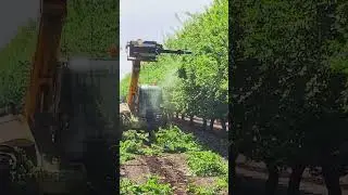 Orchard pruning has never been this easy! LRS Quadsaw by GreenTec