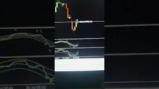 pz v.2 bot #binaryoptions #binary #quotex #pocketoption #iqoption
