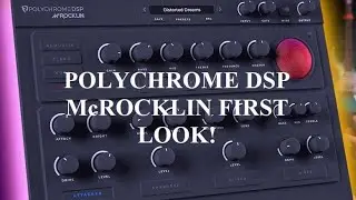 Polychrome DSP - McRocklin First Look! And TSE X50 Shootout!