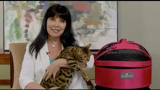 Sandy Robins Speaker and Spokesperson Reel