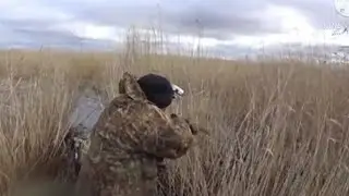 O'RDAK OVI
