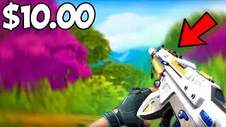 *BEST* Valorant Skins Under $10