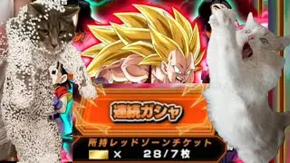 Red Zone Tickets! (GT)