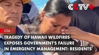 Tragedy of Hawaii Wildfires Exposes Government's Failure in Emergency Management: Residents