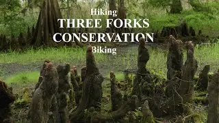 Cinematic Exploration | Three Forks Conservation | Biking & Hiking