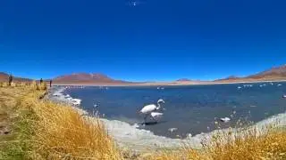 360 South American Adventure - Bolivia Part II