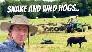 Amish Baling Hay And They Showed Up!