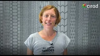 Paule T&eacute;r&egrave;s, Head of the GAM&eacute;t biological resource centre