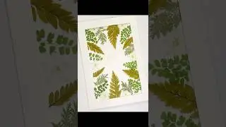 Pressed Leaf Art That Brings the Forest Indoors 🌿
