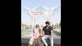 Ishq de fanniyar  || lofi + slowed | 4k Full HD song  | furkey movie 