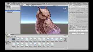 Unity User Controllable Head Turning Owl ( Morph Targets Tutorial ), Part II