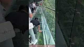 Scared Man Crawls 200m UP Glass Walkway ! 😱