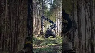 2017 Ponsse Scorpion King log harvester