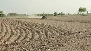 MF 240 Model 1984 | 9 cultivator performance