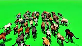 Nature in Motion &ndash; Green Screen Herd of Animals |Animalsc Stampede on green screen