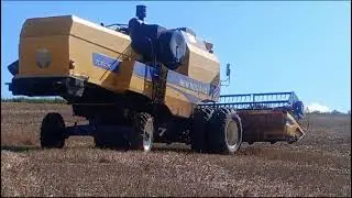 TC5070 - Tra&ccedil;&atilde;o Bertoldo