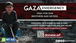 Gaza Emergency