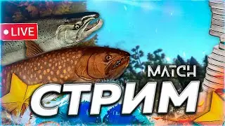 ❄️ ПРОВЕРКА ☃️ ГДЕ ТАМ ФАРМ, РАЗДАЧА, ЦВЕТНЯКИ? 🎁 Рулетка & Розыгрыши🎄СТРИМ Русская Рыбалка 4