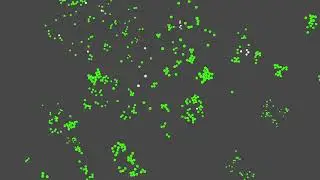 cellular AI simulation time lapse