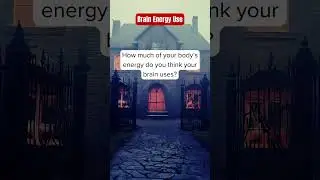 Brain Energy Use