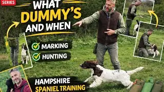 Dummy Training Your Gundog: Everything You Need To Know