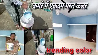 House panting कमरे में कीजिए सबसे जबरदस्त कलर !! luxury interior emulsion indigo paints