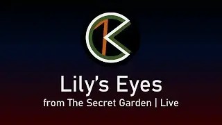 Lily's Eyes - Robert Westenberg, Mandy Patinkin | Live