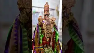 ஸ்ரீ விஜயராகவன் பிரம்மோற்சவம் இரண்டாம் திருநாள் மாலை வாஹன மண்டபம் எழுந்தருளல்.