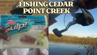 Fishing Cedar Point Creek Jacksonville, Fl