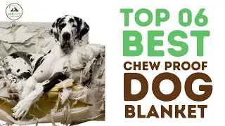 Best Chew Proof Dog Blanket
