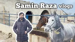 💥 Bukhari Farm ka Sabse Haseen Ghora! | Samin Raza Vlogs