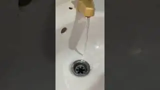 Water Audit Activity (examples of water wastage vid)