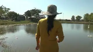 Wow / Amazing girl catch a lot of catfish in the Lake / Life Style