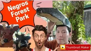 NEGROS FOREST PARK WALKING TOUR.